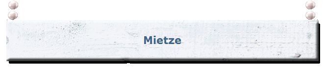 brettbannermitperlen