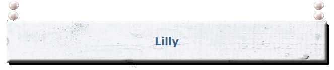 brettbannermitperlen